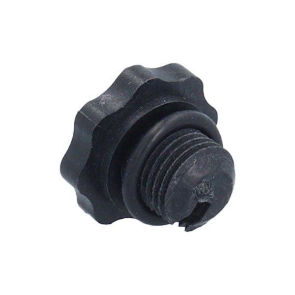 Drain Plug, Pump, Theramax/Theraflo, 1/4" : 6500-255