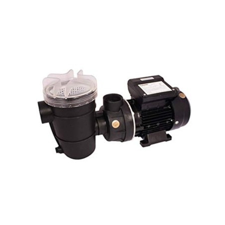 1/3 HP Pump Motor Assembly, Sandpro Filter : 4S1063