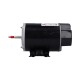 Motor, Nidec/US-Motor, Thru-Bolt, 48-Frame, 1.0 HP, 115V, 12.0 Amp : EZBN25