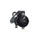 Pump, Waterway, Genesis, 1.0HP, 115V, 9.0 Amps, 1-Speed, 1-1/2"MBT w/Air Switch & NEMA Plug : 321JF10-0150