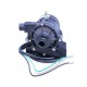 Circulation Pump, Laing, E10, 3/4" Barb, 120V, for Jacuzzi and Sundance Spas, 4' Cord : 6500-460