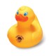 Rubber Duck, Logo Duck : SPLOGODUCK