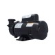Pump, Sta-Rite Dura-Jet, 1.5HP, 230V, 7.2/2.4A, 2-Speed, 2"MBT, SD, 48-Frame : DJAYFB-0001