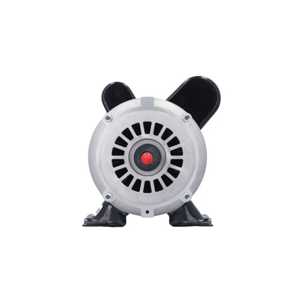 Motor, Pump, 2.5HP, 230V, 10.0 Amp, 1-Speed, 48-Frame : 93526051-B