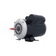 Motor, Pump, 2.5HP, 230V, 10.0 Amp, 1-Speed, 48-Frame : 93526051-B