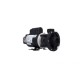 Pump, Waterway "E"-Series, .75HP, 115V, 8.8/2.6A, 2-Speed, 1-1/2"MBT, CD, 48-Frame : 300-1010