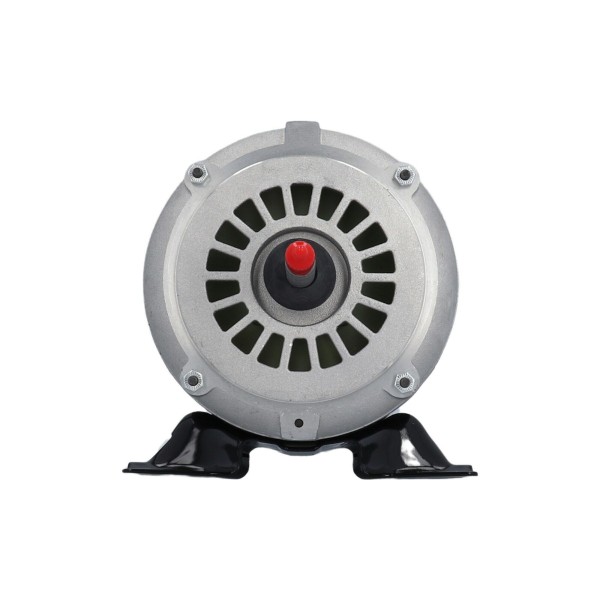 Pump Motor,EMERSON,Thru-Bolt,48YFr,2Spd,1.5HP,115V,16.4/4.4A 1 Capacitor on Back Of Motor : AGL15FL2CS