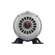 Pump Motor,EMERSON,Thru-Bolt,48YFr,2Spd,1.5HP,115V,16.4/4.4A 1 Capacitor on Back Of Motor : AGL15FL2CS