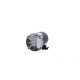 Pump Motor,EMERSON,Thru-Bolt,48YFr,2Spd,1.5HP,115V,16.4/4.4A 1 Capacitor on Back Of Motor : AGL15FL2CS