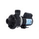 Pump, Waterway Spa-Flo, 2.0HP, 230V, 10.5/2.6A, Energy Efficient Motor, 2-Speed, 1-1/2"MBT, SD, 48-Frame : 3420820-0Z