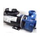 Pump, Gecko, 2018, 7Hp-230V-56Fr-1Spd, Blue W/E, 8Ft 4 Pin Amp, Unions : 07730005-2370