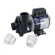 Pump, Sundance Spa, CircMaster, 50HZ, 1/15HP, 230V, 5.5 Amps, 2"MBT, 48-Frame : 6500-911