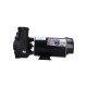 Pump, Waterway Executive 48, 2.0HP, 230V, 10.5/2.6A, 2-Speed, 2"MBT, SD, 48-Frame : 3420820-1A