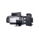 Pump, Waterway, EX2, 1.5HP, 230V, 8.0 Amp, 1-Speed, 2"MBT, 48-Frame : 3420620-1U