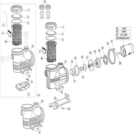 Bolt, Motor, Jacuzzi Magnum Series, 3/8"-16 x 7/8" : 14-1293-24-R000