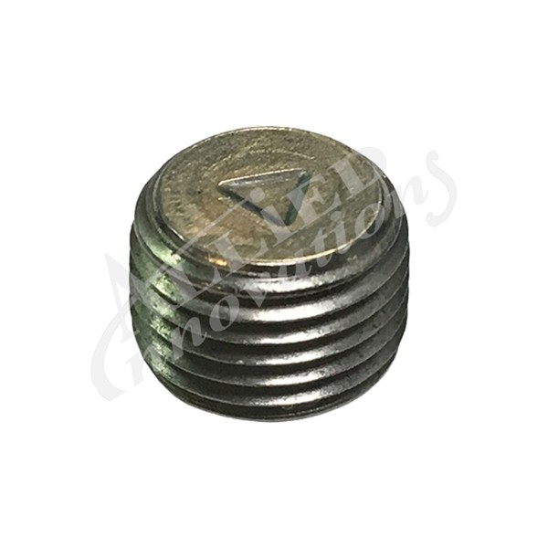 Plug, 1/8-27 NPT : 6000-124