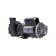 Pump, Waterway Executive 48, 4.5HP, 230V, 12.0/3.5A, 2-Speed, 2-1/2" x 2"MBT, SD, 48-Frame : 3421821-13