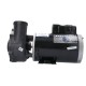 Pump, Waterway Executive 56, 4.0HP, 230V, 12.0/4.4A, 2-Speed, 2"MBT, SD, 56-Frame : 3721621-1D