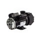 Pump, Aqua-Flo FMXP2, 2.5HP, SD, 48-Frame, 2-Speed, 230V, 10.0/2.6A, 2"MBT, Includes Unions : 06125000-1040