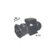 Pump, Waterway Executive, Euro, 3.0HP, 230V, 1-Speed, 2"MBT, SD, 56-Frame : 3R11250-0D