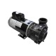 Pump, Aqua-Flo FMXP2e, 4.0HP, SD, 56-Frame, 2-Speed, 230V, 15.0/4.5A, 2-1/2" x 2" MBT, Unions : 05340011-5040