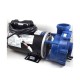 Pump, Gecko, 2018, 7Hp-230V-56Fr-2Spd, Blue W/E, 8Ft 4 Pin Amp, Unions : 07830001-2370
