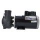 Pump, Waterway Executive 56, 5.0HP, 230V, 2-Speed, 2-1/2" x 2"MBT, SD, 56-Frame : 3722021-13