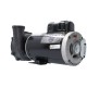 Pump, Waterway Executive 56, 5.0HP, 230V, 2-Speed, 2-1/2" x 2"MBT, SD, 56-Frame : 3722021-13