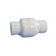 Check Valve, Flo-Control, 5lbs Spring, 2-1/2"Slip : 1015-25