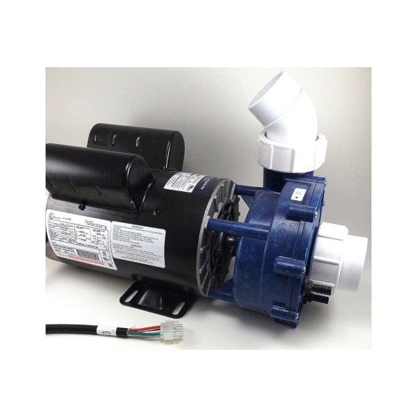 Pump, Gecko, 2019, Low Energy, 7Hp-230V-56Fr-2Spd, Blue W/E, 8Ft 4 Pin Amp, Unions : 07345004-1340