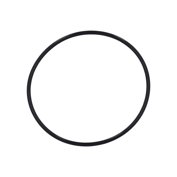 O-Ring, Filter Lid, 5-7/8"ID x 6-1/4"OD x 3/16" Cross Section : 805-0360