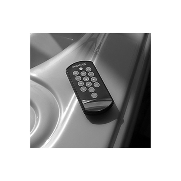 Overlay, 2009 Stereo Remote, Xe Shoreline Logo : 13033