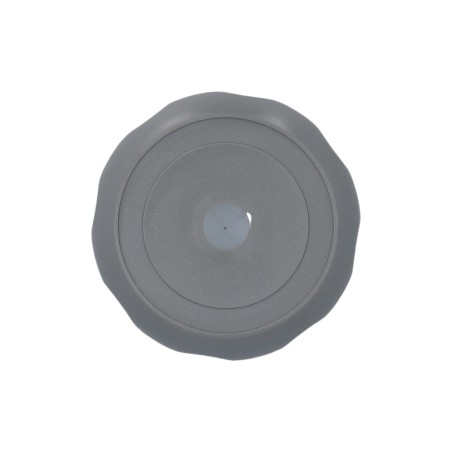 Cap, Valve, Sundance, Whirlpool, 1999-2000, Gray : 6540-287