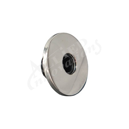 Air Injector Face, Rising Dragon, w/Stainless Steel Escutcheon : RD611-1021S