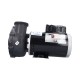 Pump, Waterway Viper, 4.0HP, 230V, 12.0/4.4A, 2-Speed, 2-1/2"MBT, SD, 56-Frame : 3721621-1V