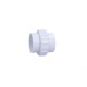 Union, Pump, CMP, In-line, 2" Slip x 2" Slip : 21048-00