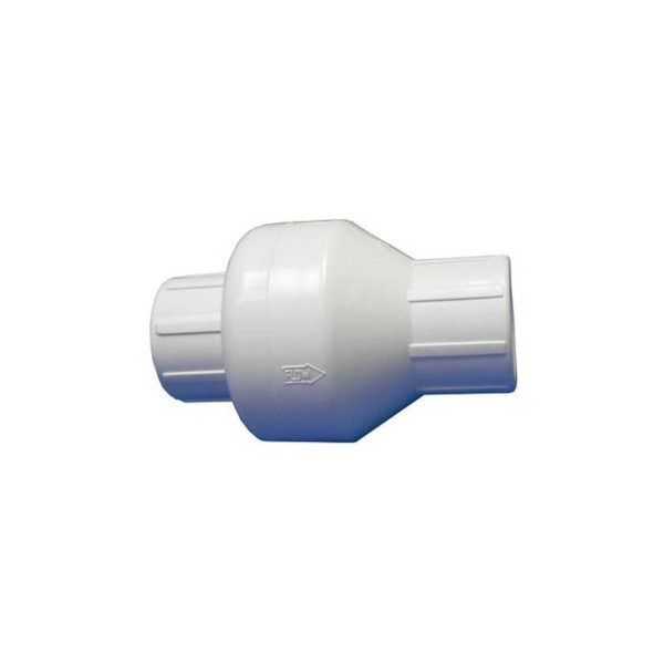 Check Valve, CMP, Swing, 1" Slip x 1" Slip, White : 25062-000