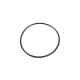 O-Ring, Pump Diffuser, : 1081