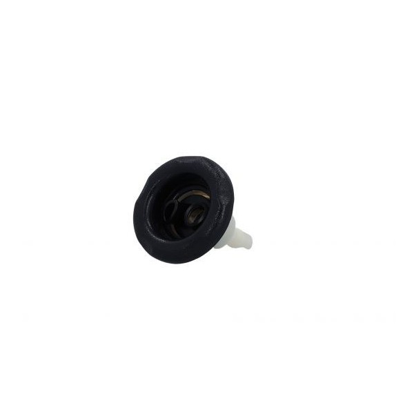 Jet Internal, Waterway, Poly Storm, Gunite, Thread In, Dual Rotating, 3-5/8" Face, Black : 229-8121