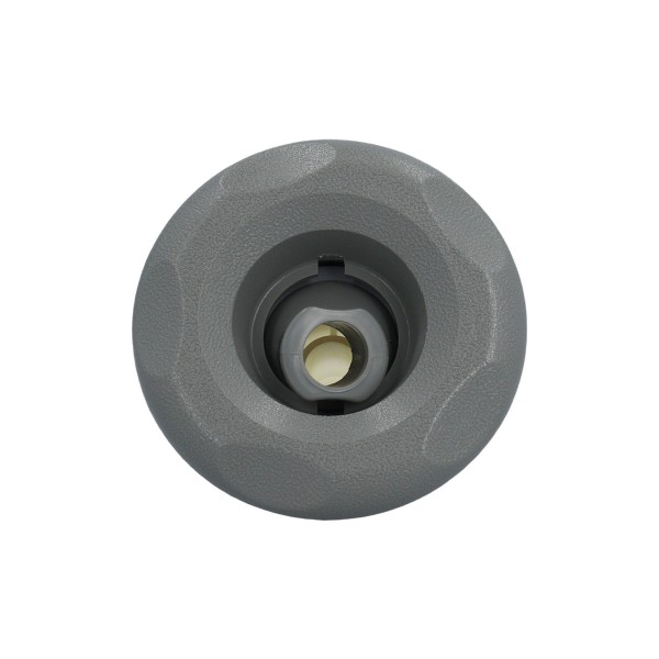 Jet Assembly, Waterway, Mini Storm, Rotating, 3" Face, 5-Scallop, Gray : 229-0027