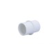 Check Valve, Waterway, 2"S, Flapper, 2.5-8lbs, White : 550-6800