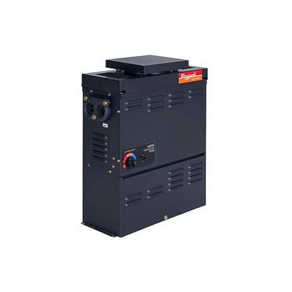 Heater Assembly, Raypak, Propane, 50K BTU, Electronic Ignition, 4000-6000Ft Elevation : 008645