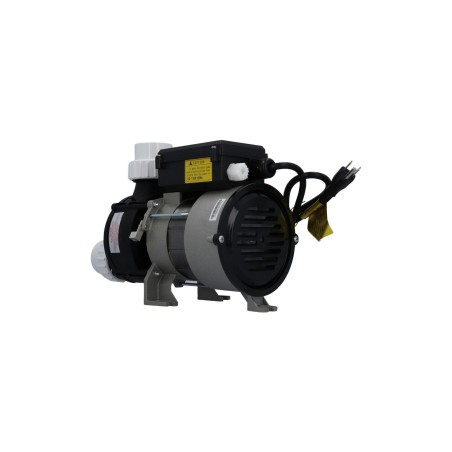 Bath Pump, LX WBH-100, Front/Top, 1Spd, .75HP, 115V, 7.0A w/Air Switch, 3'NEMA Cord & 1-1/2"Unions : WBH100