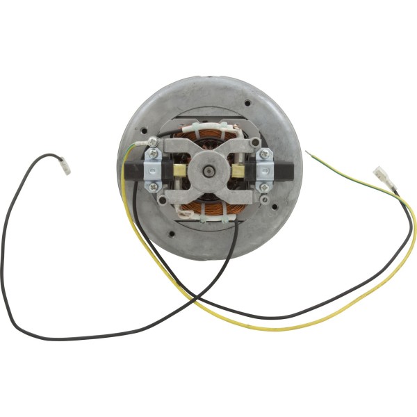 Motor, Ametek, 1.0 Horsepower, 230v, 1 Speed, Air Blower : HHP 141-1STF
