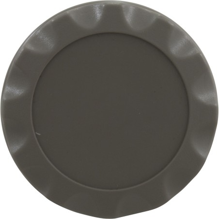 1-1/2" Gunite Air Control "A" Style - Gray : 660-3407