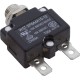 Circuit Breaker, Pentair EasyTouch, 10A, Resettable : 520714Z