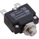 Circuit Breaker, Pentair EasyTouch, 10A, Resettable : 520714Z