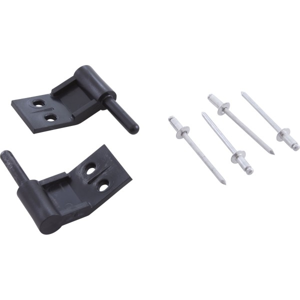 Power Center Hinge Pins, Pentair Compool, Quantity of 2 : LXPIN