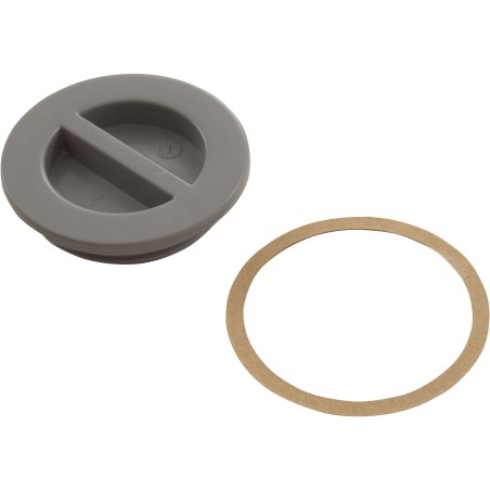 1.5In Npt Flat Plug, Gray : 25542-001-000