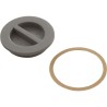 1.5In Npt Flat Plug, Gray : 25542-001-000